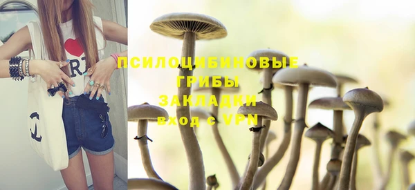 СК Бородино