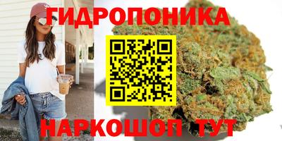 дурь Гай