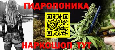 молекула духа Гатчина