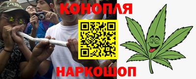 молекула духа Гатчина