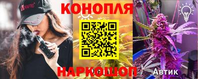 молекула духа Гатчина