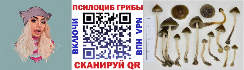 нарко площадка как зайти  Белгород  Галлюциногенные грибы ЛСД 