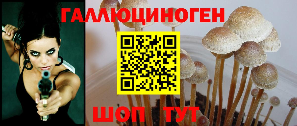 Галлюциногенные грибы GOLDEN TEACHER Белгород